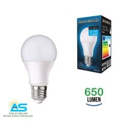 12V 9W DC AMPÜL