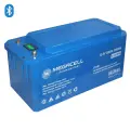 Megacell 12.8V 210Ah (Bluetooth) LiFePO4 Lityum Demir Fosfat Akü(ABS Kasa)